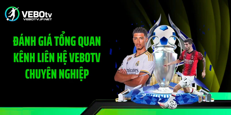 Đánh giá tổng quan kênh liên hệ Vebotv chuyên nghiệp