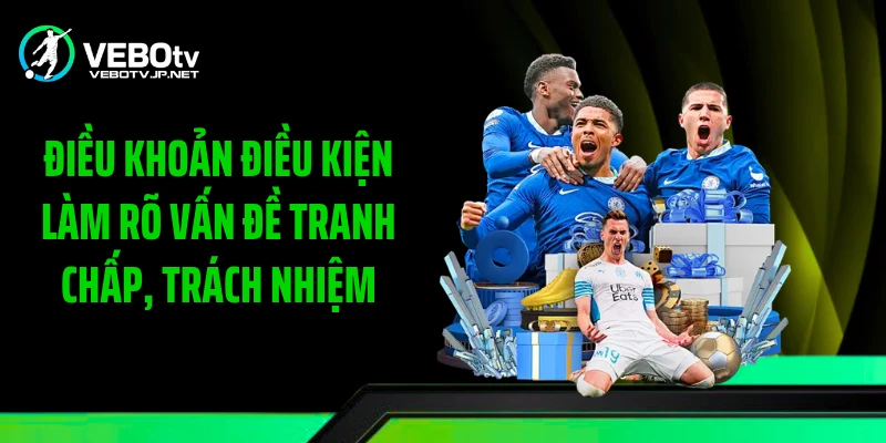 Điều khoản điều kiện làm rõ vấn đề tranh chấp, trách nhiệm
