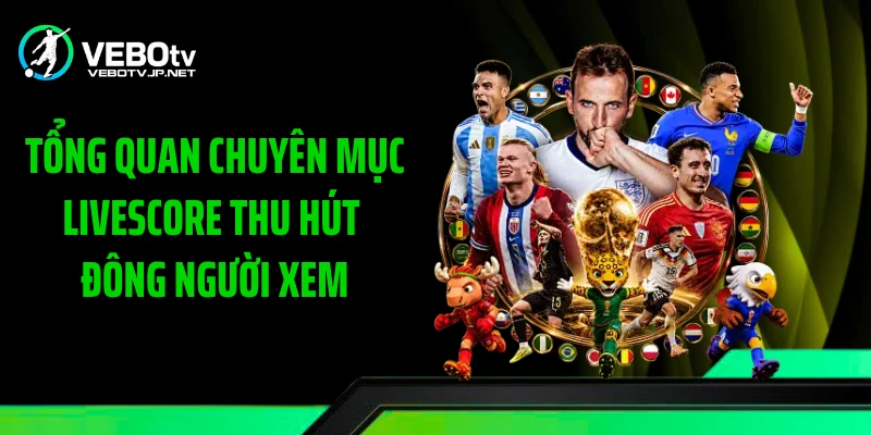 Tổng quan chuyên mục Livescore thu hút đông người xem